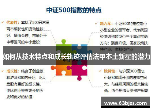 如何从技术特点和成长轨迹评估法甲本土新星的潜力