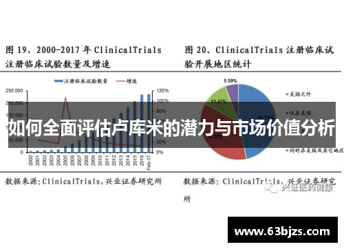 如何全面评估卢库米的潜力与市场价值分析